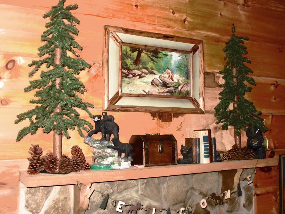 Wood burning fireplace