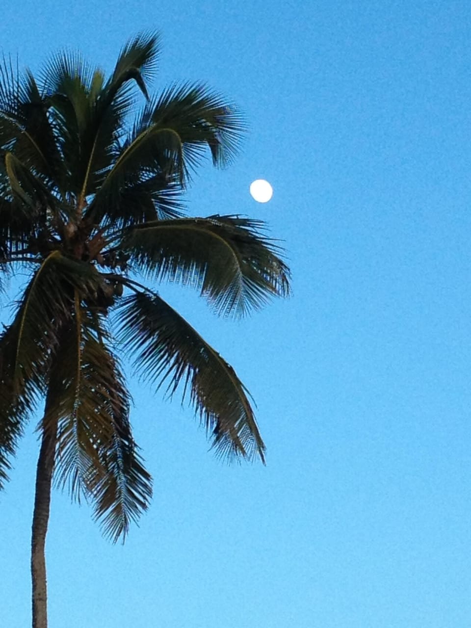 Gorgeous view from the back lanai.