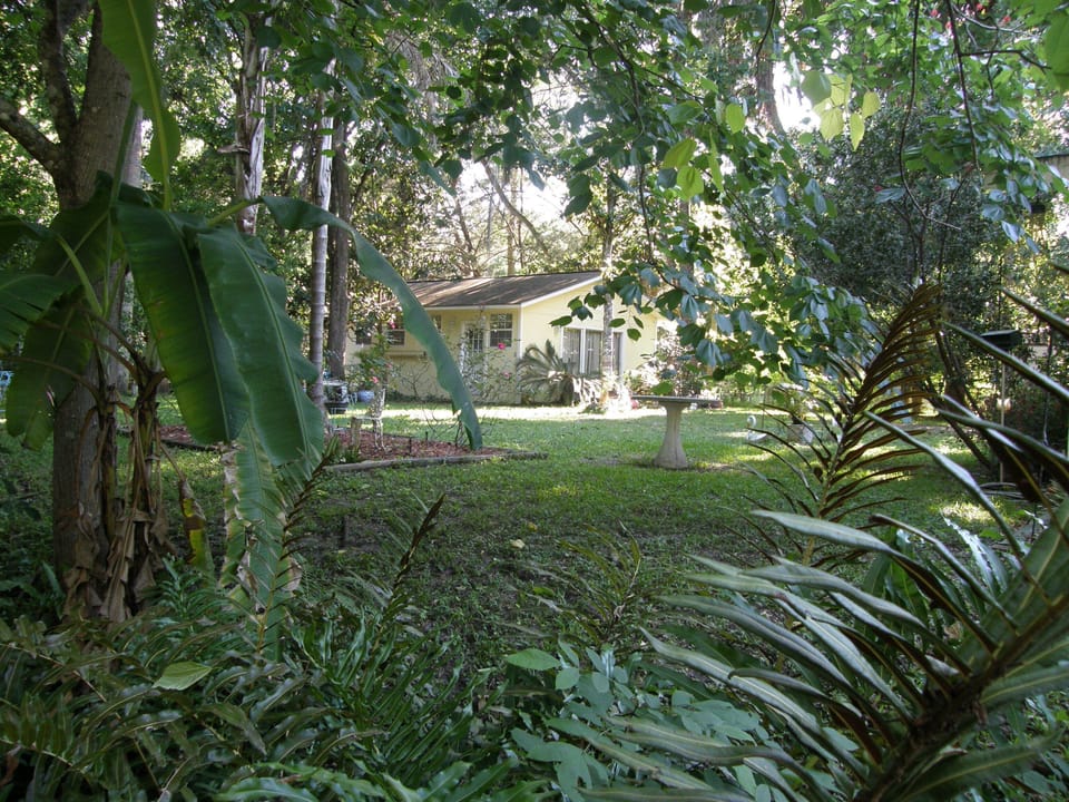 Large Wooded Yard