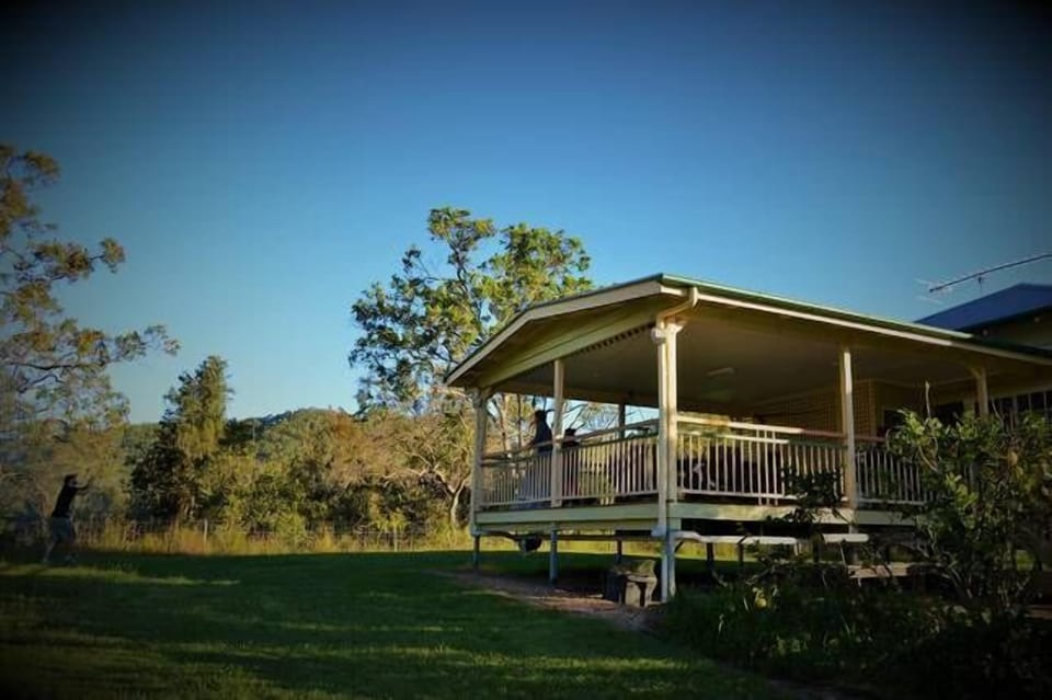 Rear Deck