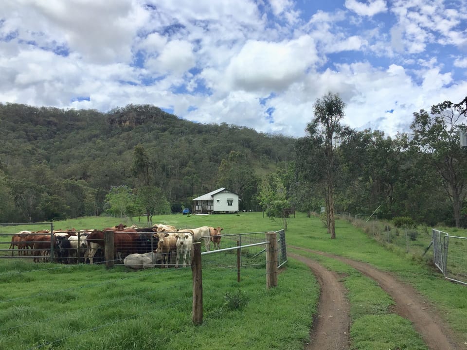 Eighteen Mile Cottage & Surrounds