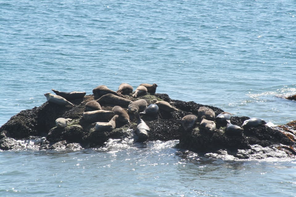 Enjoy viewing wildlife from your vacation rental