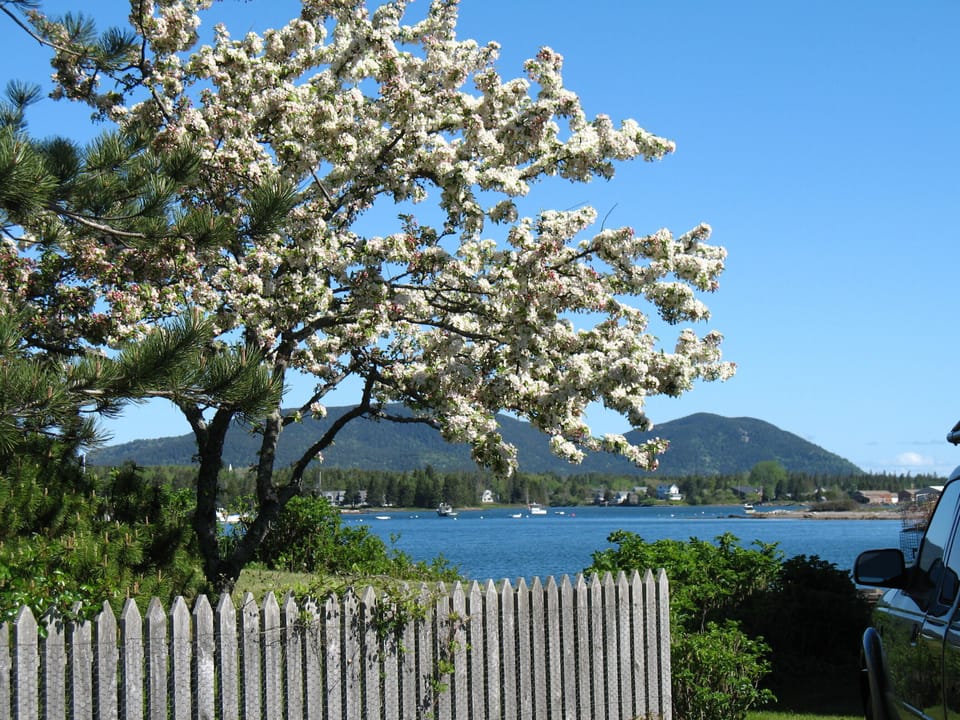 June bloom, and mountains to the head of the harbor.