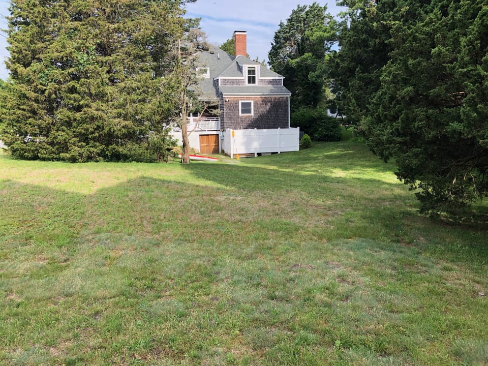 Spacious Backyard gives some privacy from neighbors.