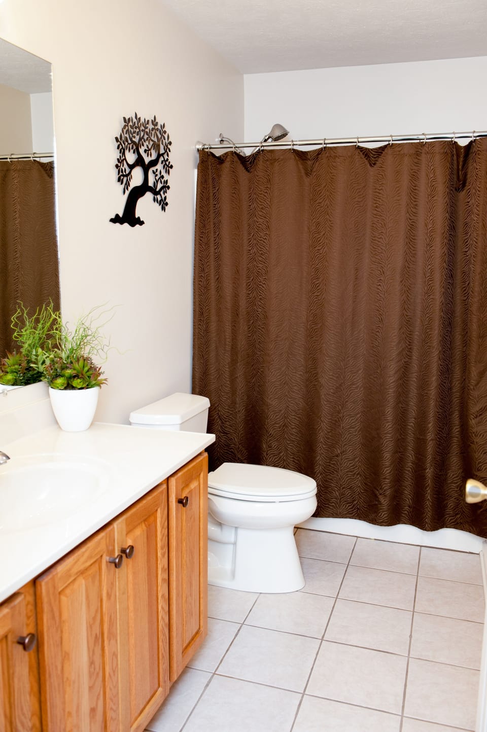 Hall Bathroom