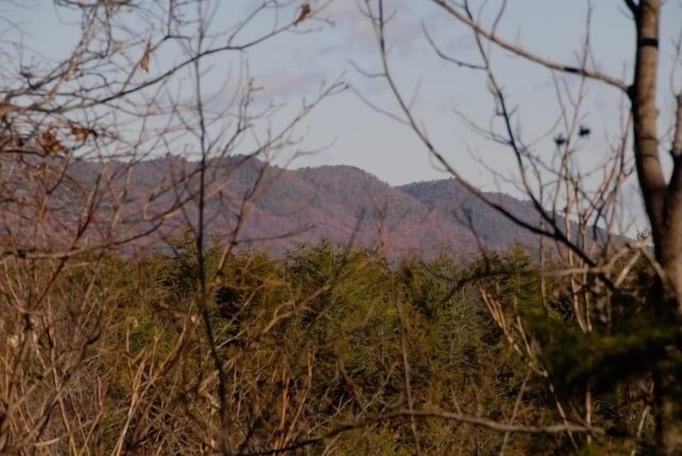 Mountains from top deck.