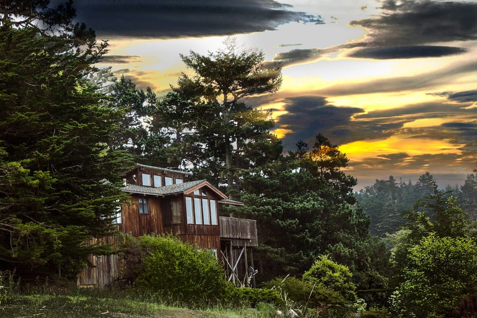 LunaSky is surrounded by trees and has a panoramic view of the ocean