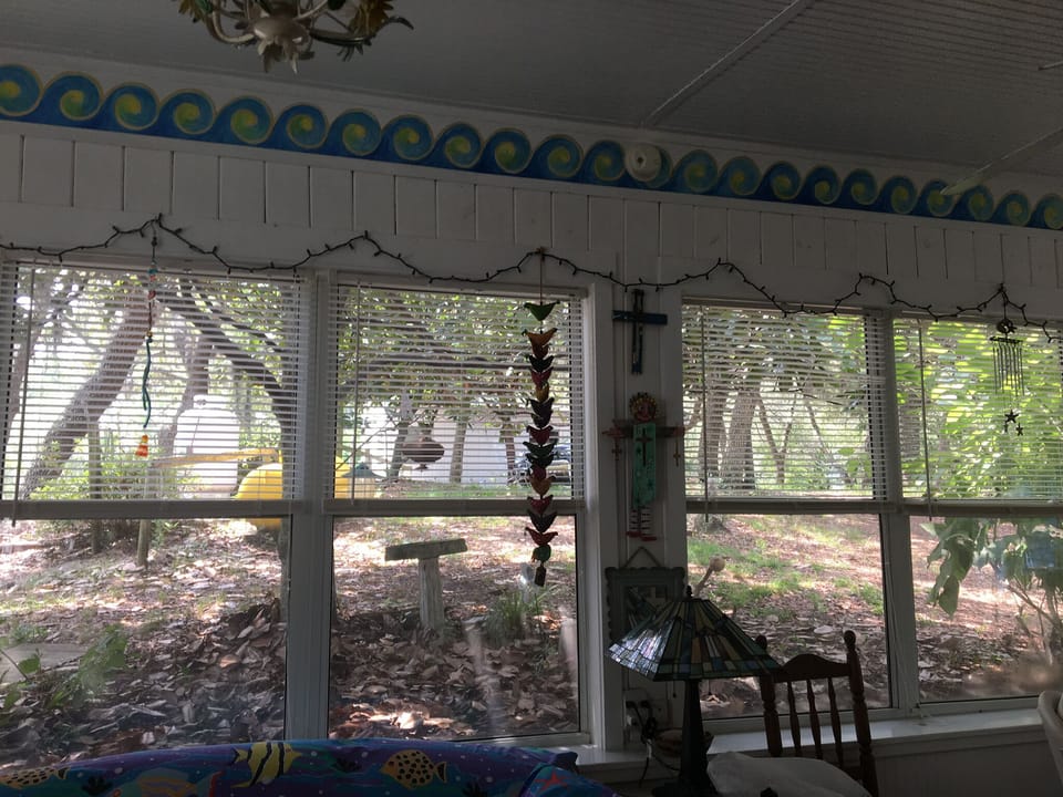 The living room windows  look out under trees laden  Spanish moss.  