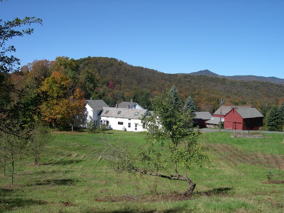 View from our land in the back