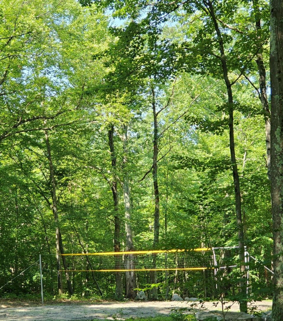Volleyball 