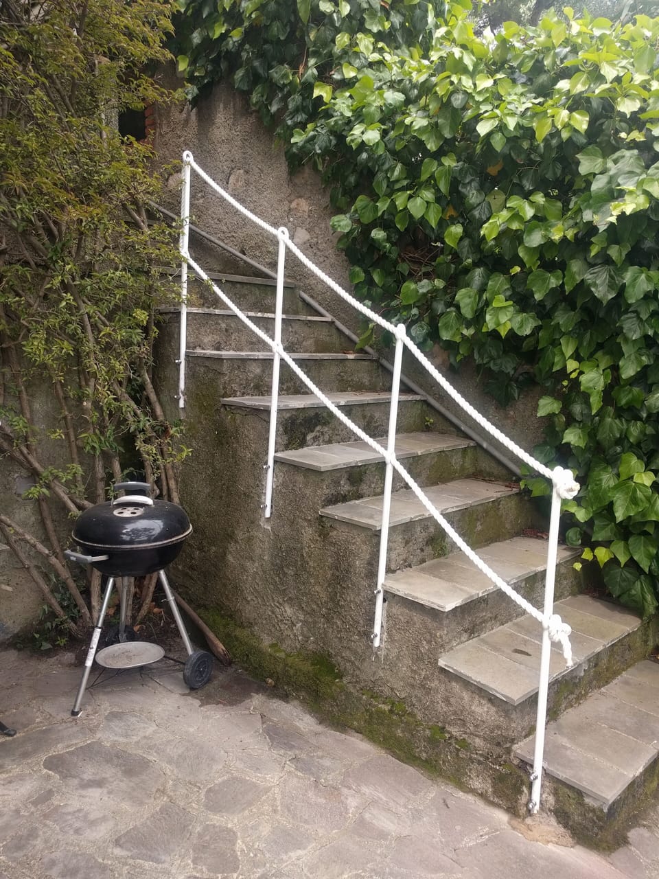 lower terrace 