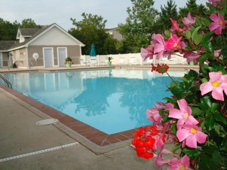 An oasis - pool with poolhouse professionally landscaped and maintained