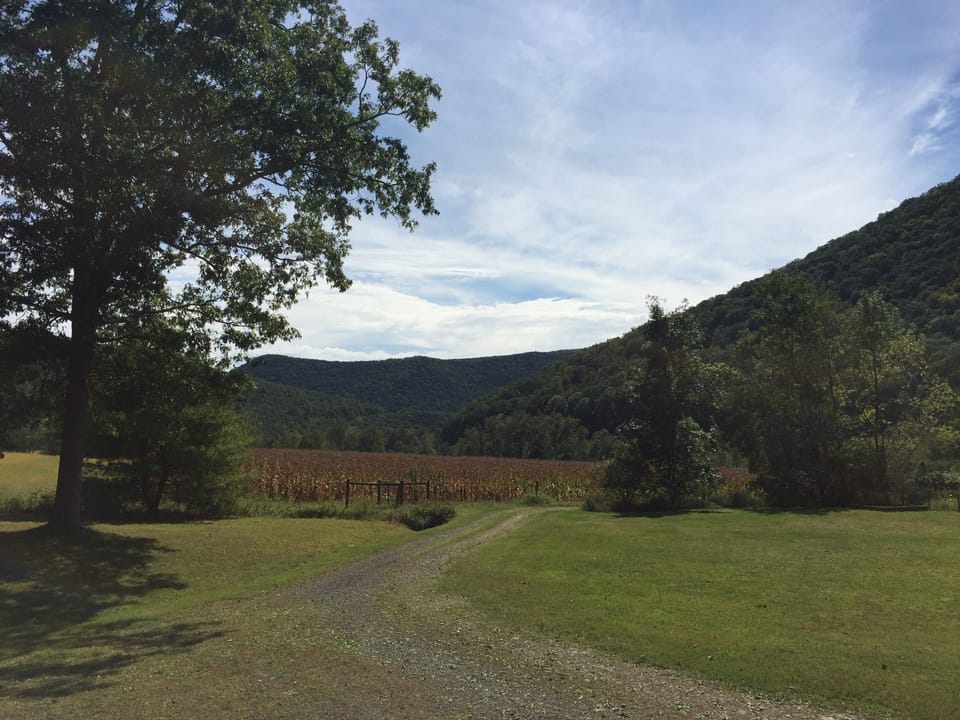 view from the deck