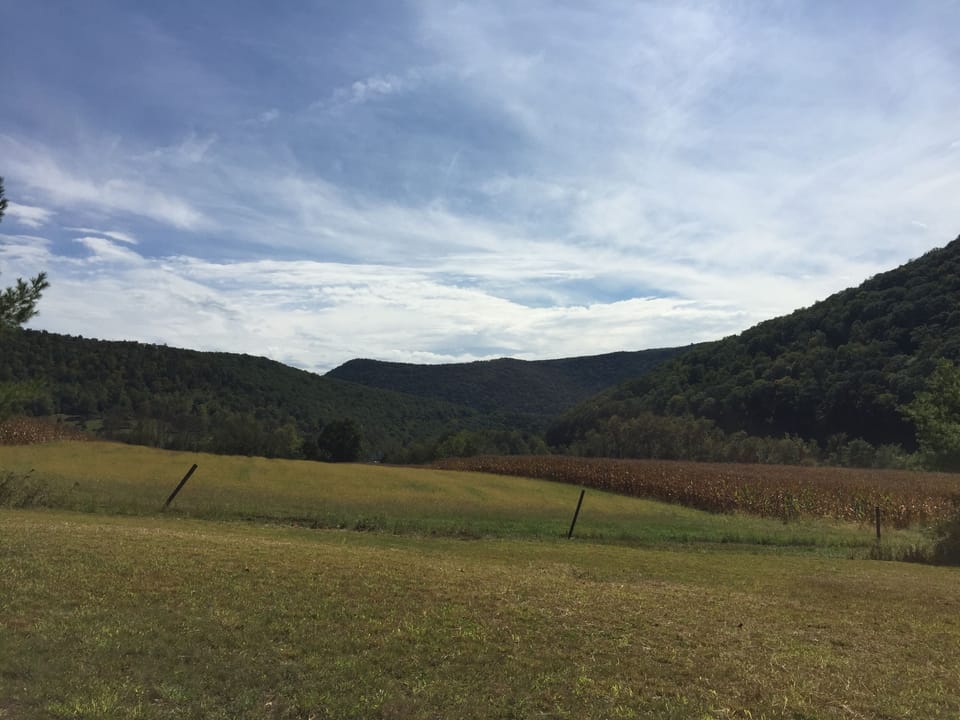 view from the deck