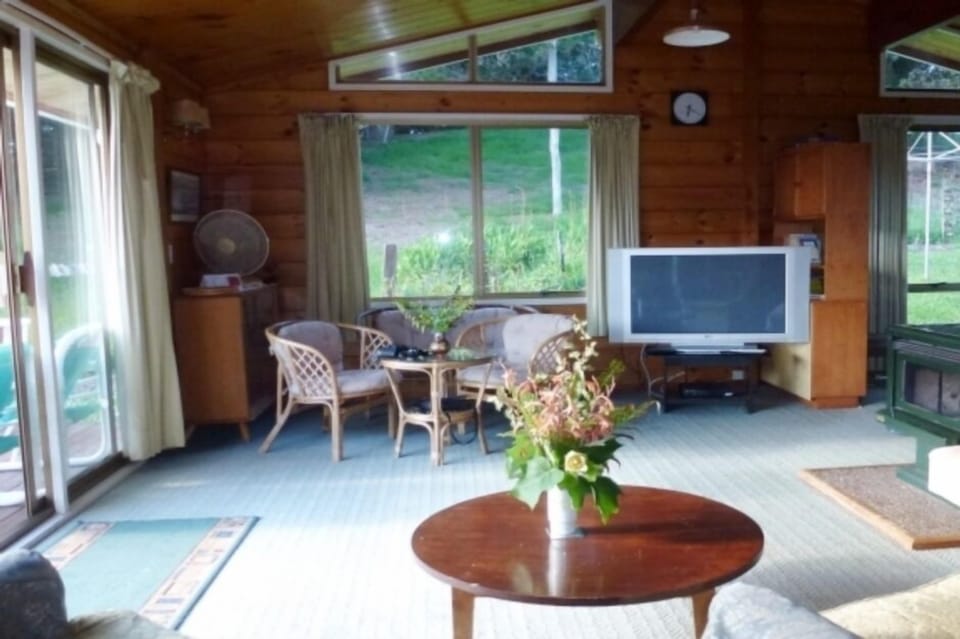 The lounge with Sky TV and heat pump