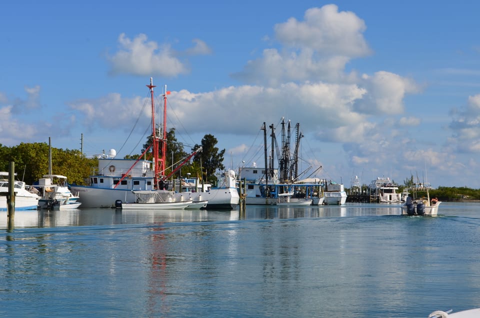 An active harbor for a seafaring community.