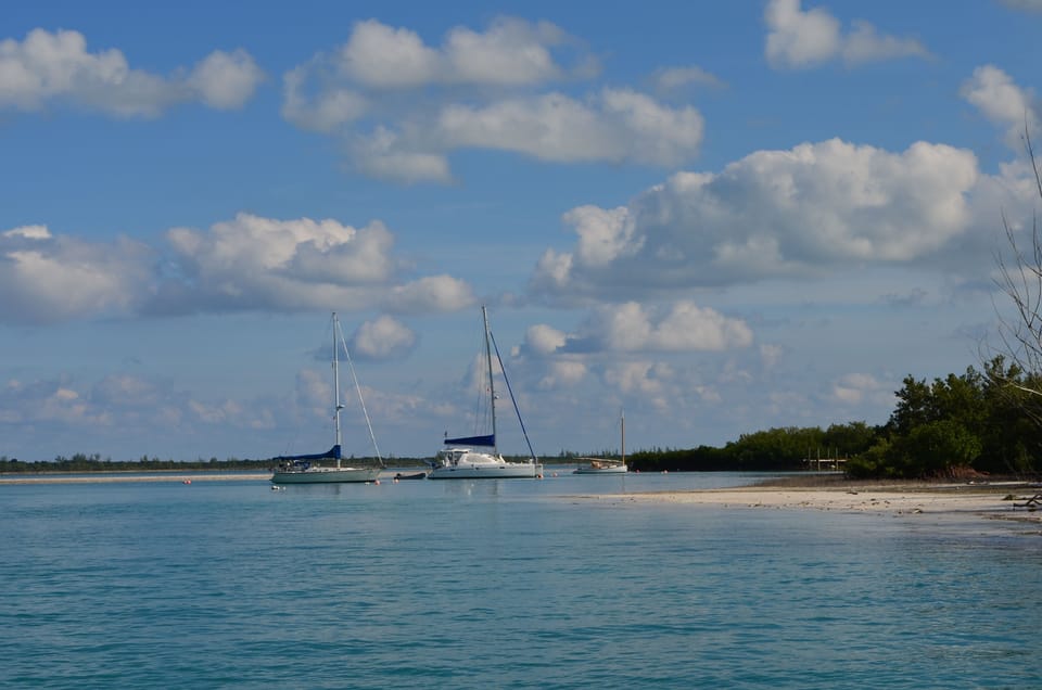 Sailboats moored in a cove in the harbor.