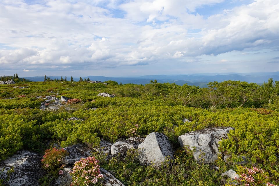 Dolly Sods, a local attraction