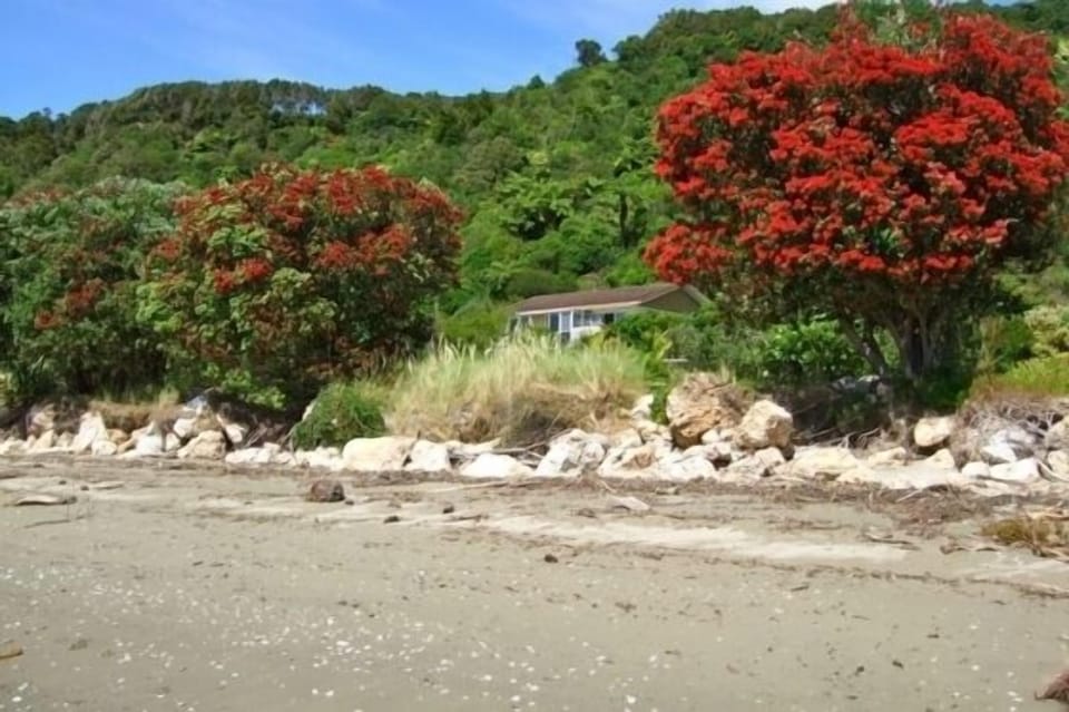 Maple's Den - Collingwood Bach - View to House from Beach