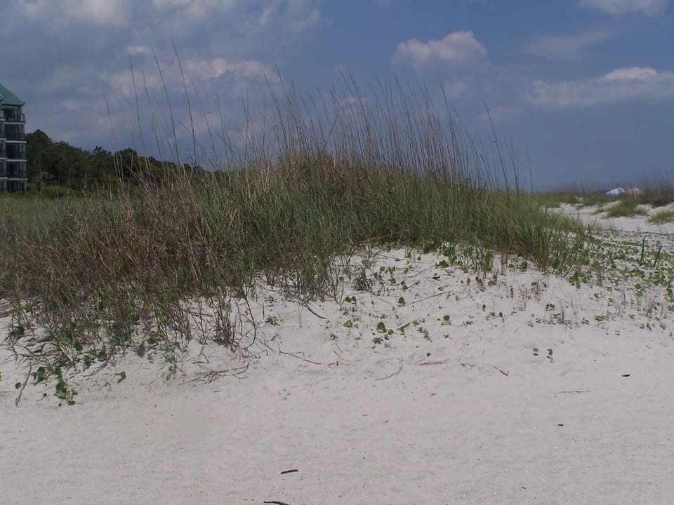 Dunes