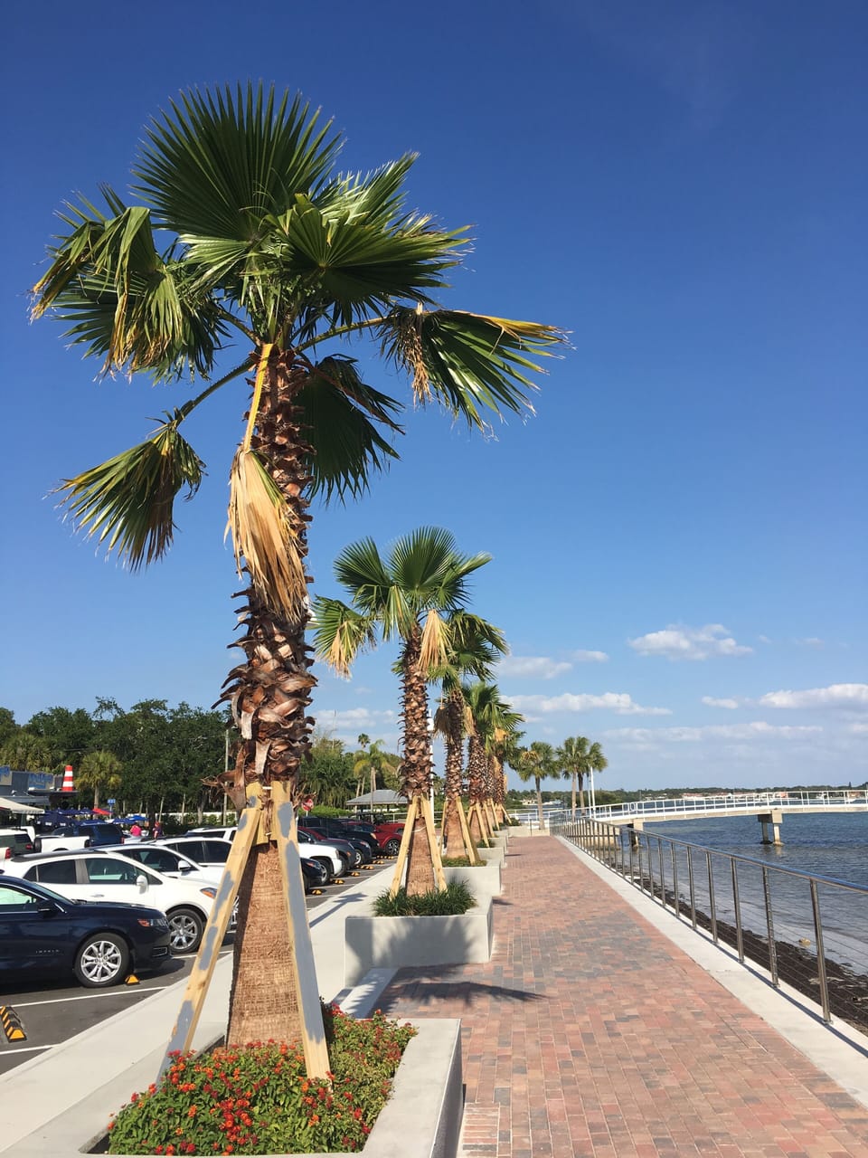 Gulfport beach front
