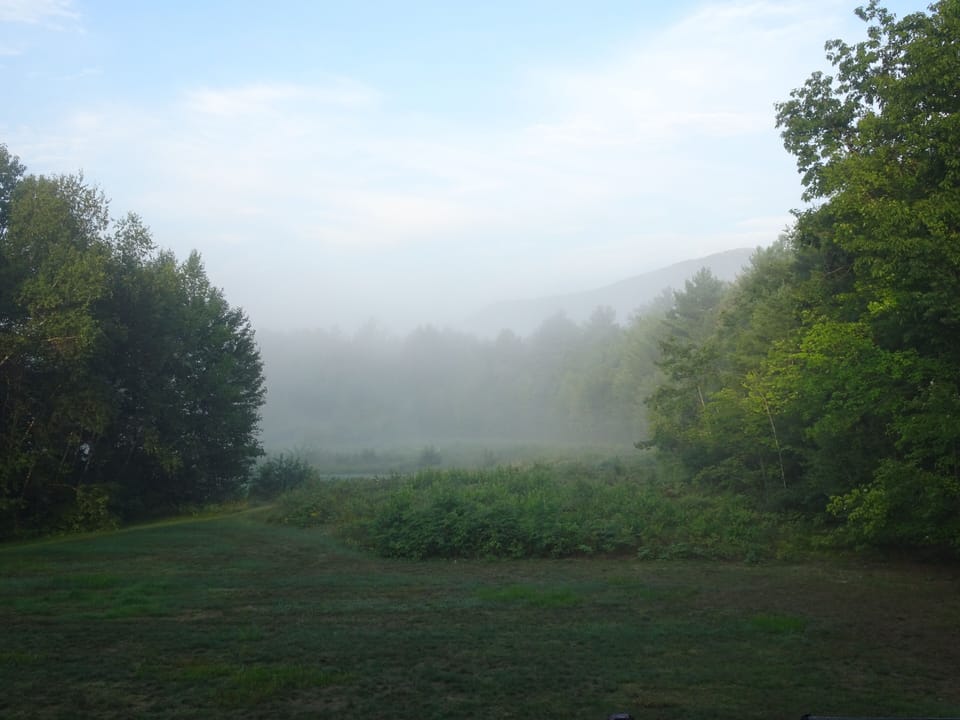 foggy morning. 