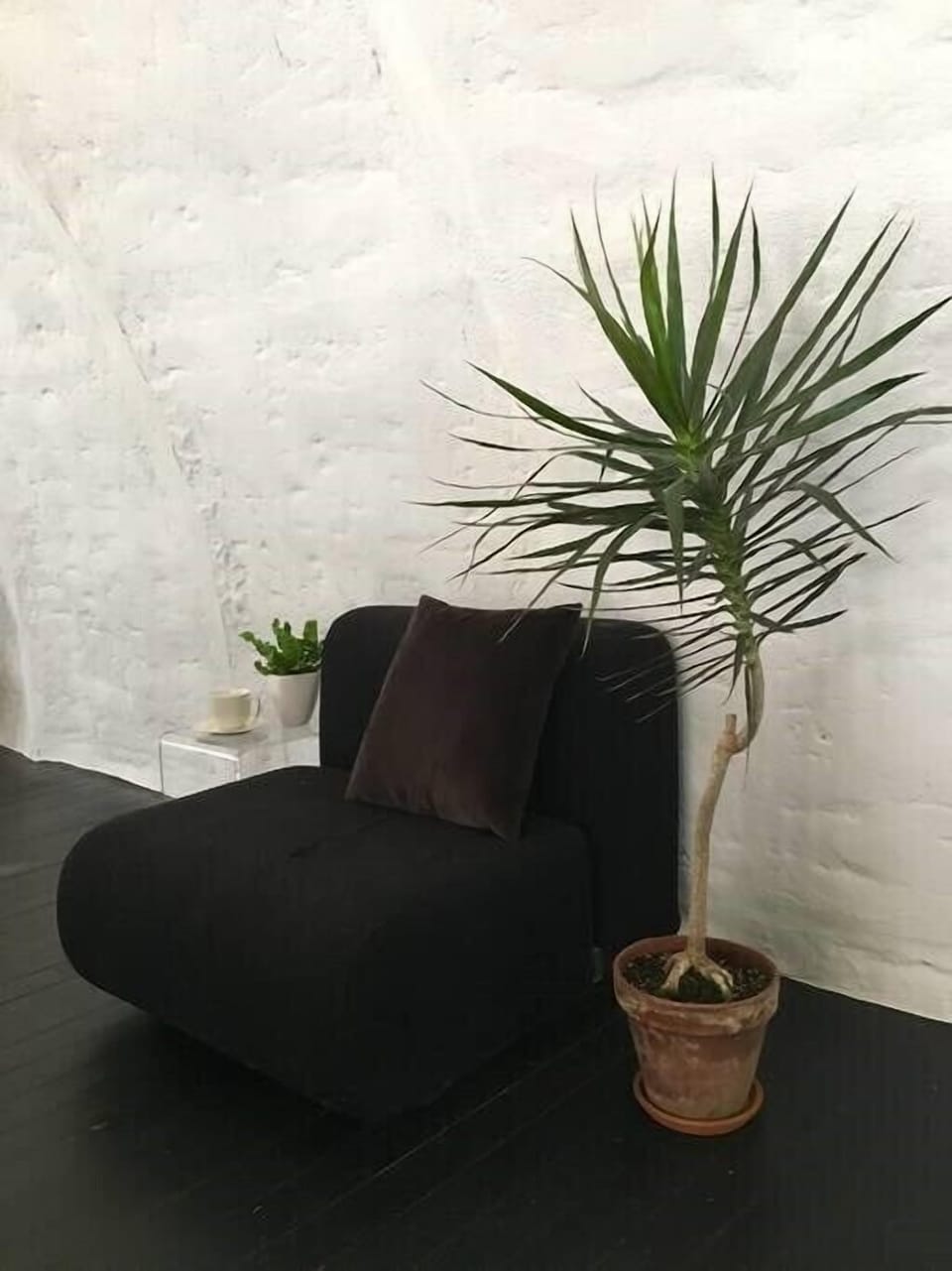 Fun Modern Furnishings in this unique Quonset Hut