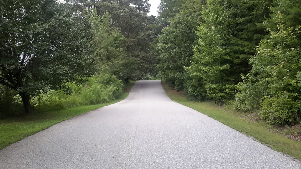 This is the road leading to our cabin. nice rolling tree canopy paved ride.