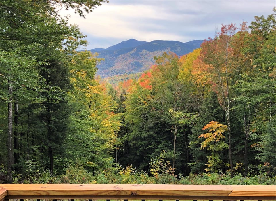 Early October Foliage. 