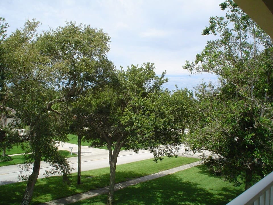 View  from front porch.