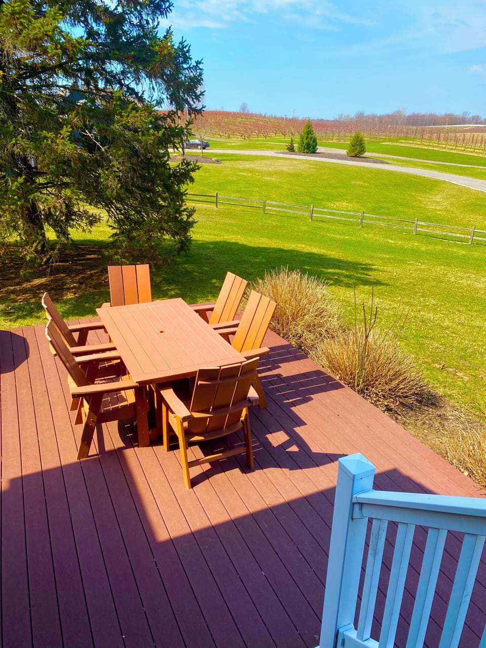 Grilling area