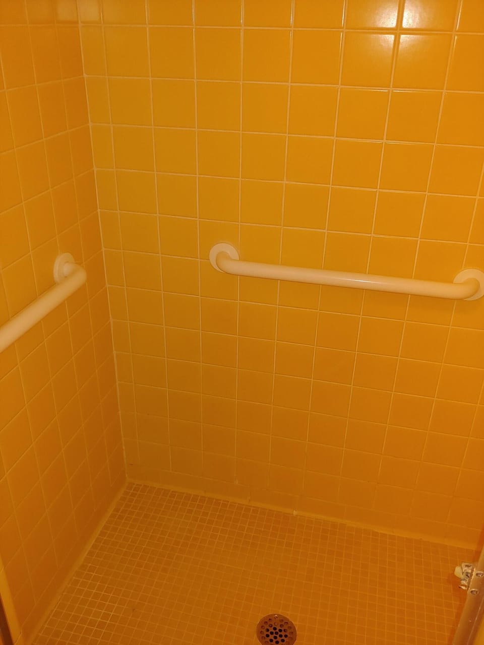 Master Bath shower with grab bars