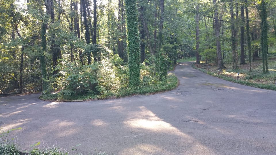 Long and Large Circular Driveway