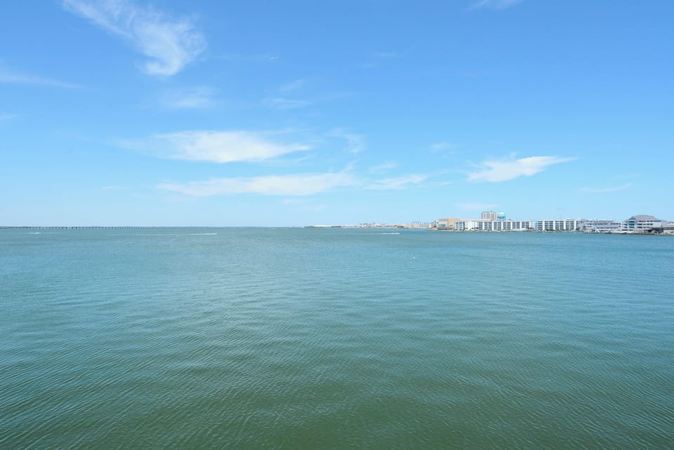 Main Level,View,