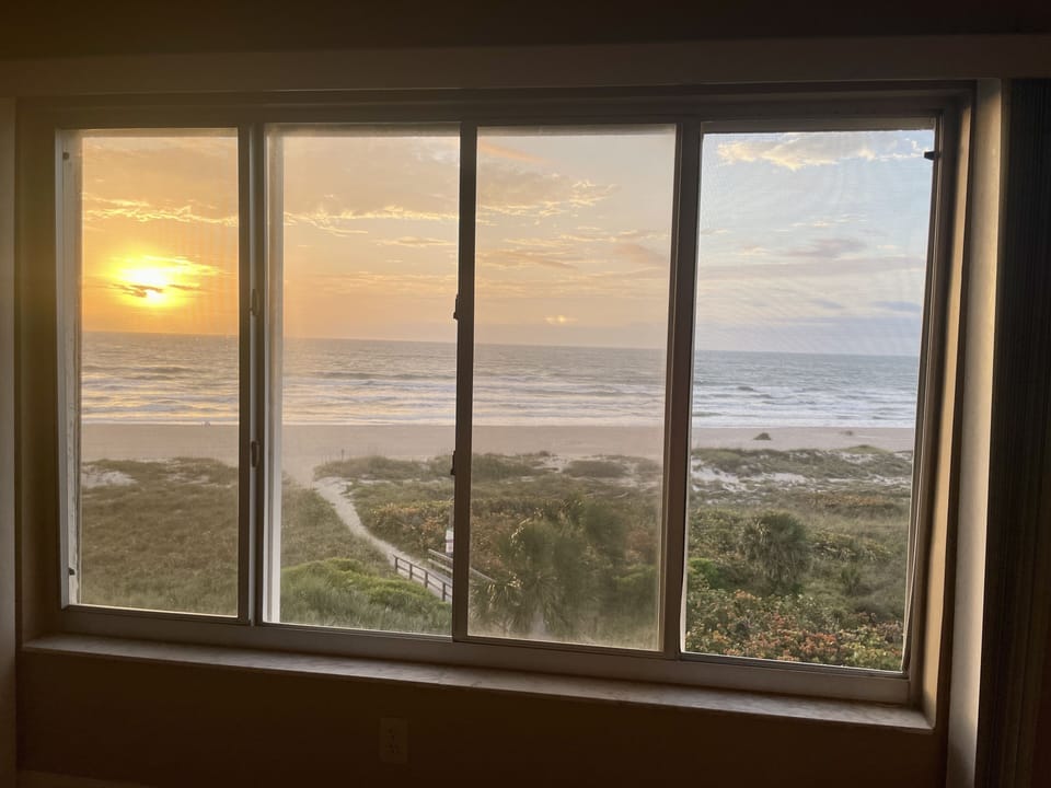 Living Room Window View