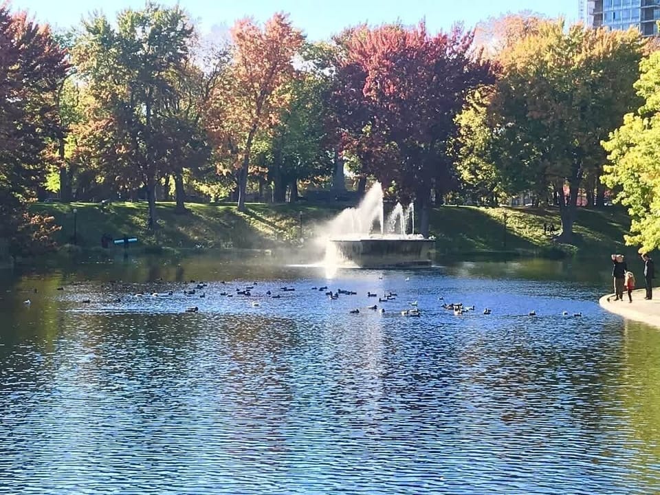 Majestic Lafontaine park is 10 minutes away