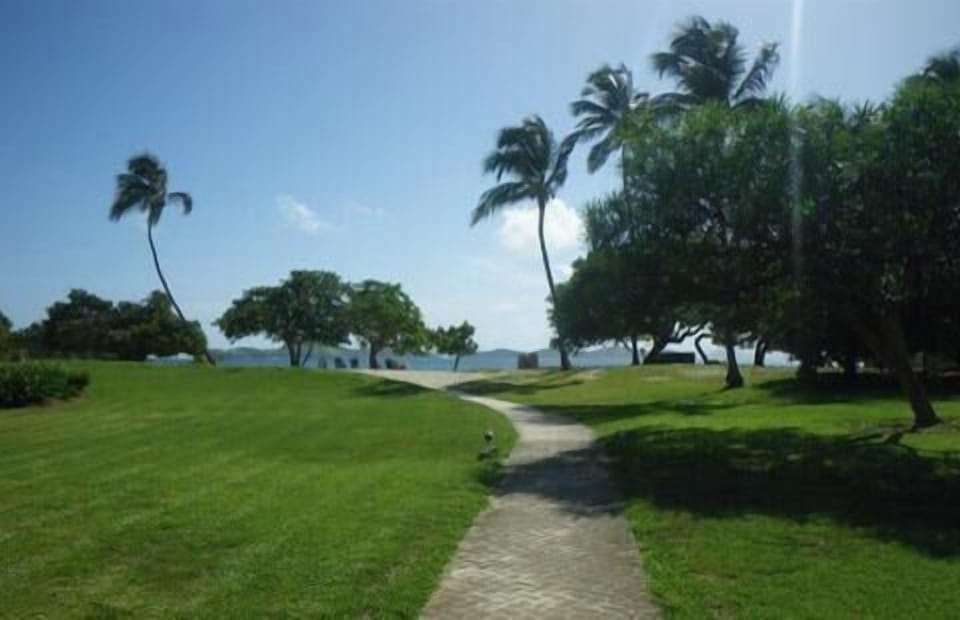 a wonderful morning walk around our complex