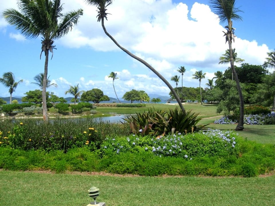 Beautifully landscaped property