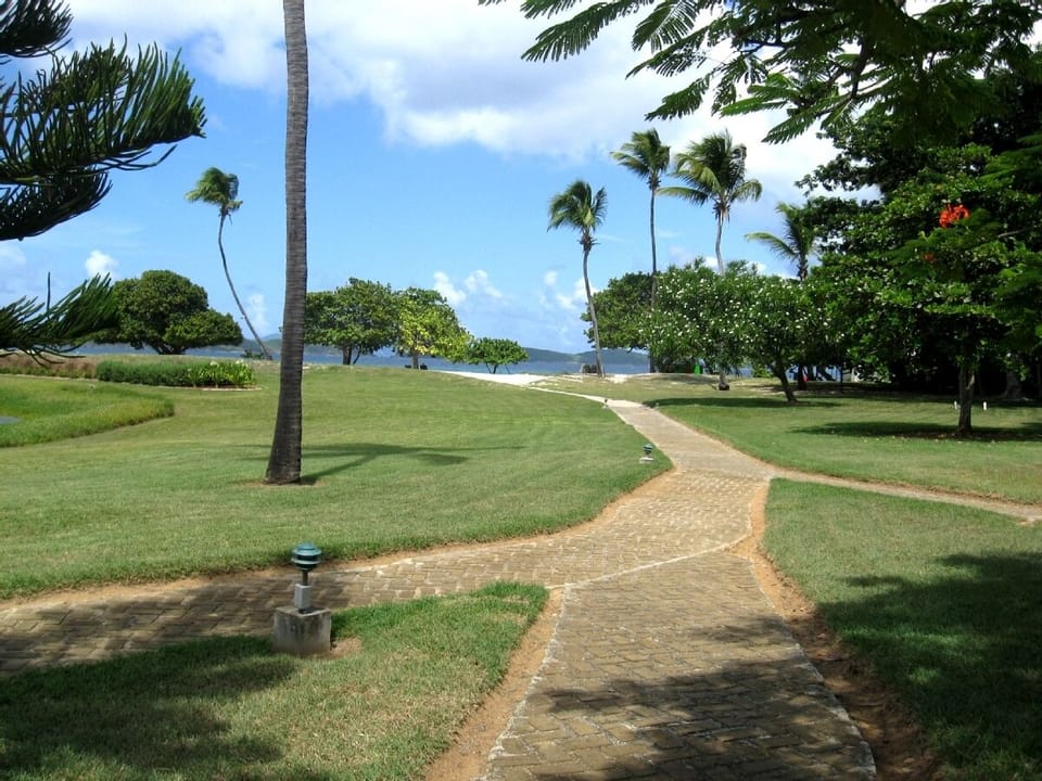Pathway