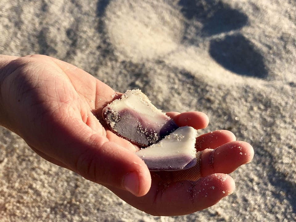 Special shells found!