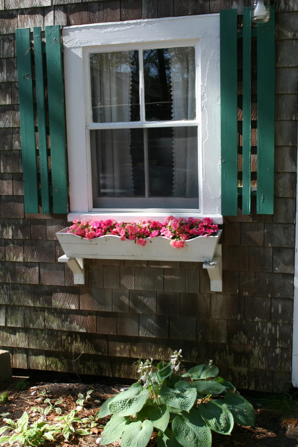 window detail