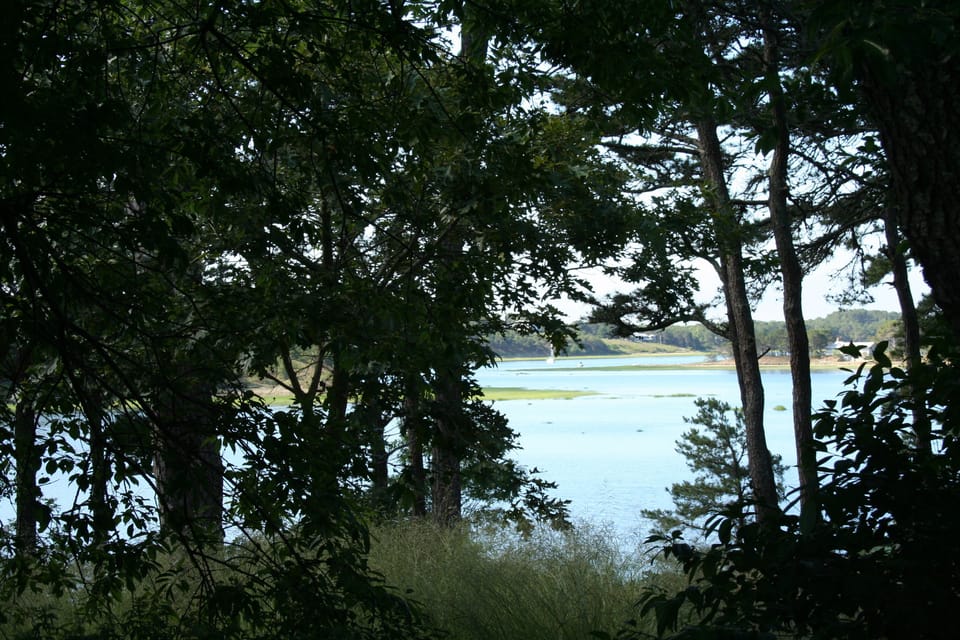 Drummer Cove