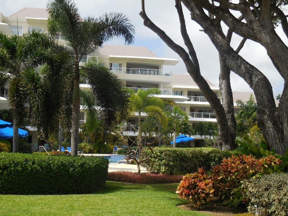 Palm Beach 109: Garden View looking toward our unit.