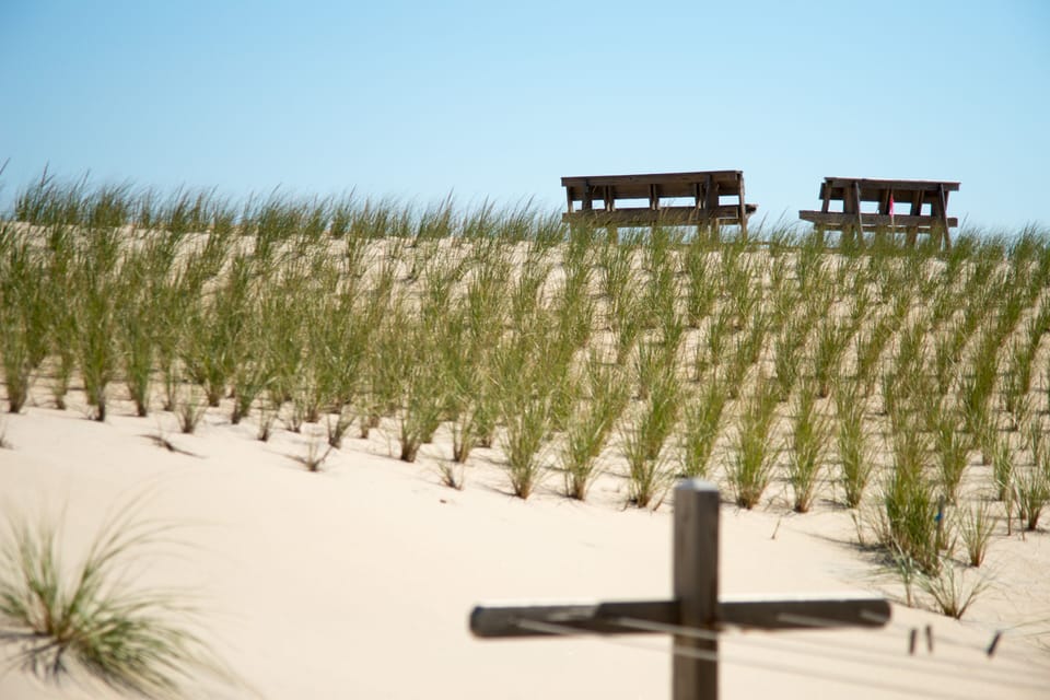 Relax and watch the dune grass sway with the wind