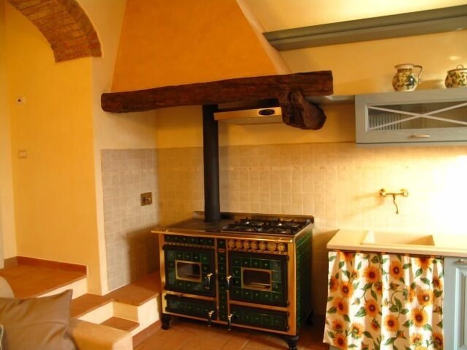 beautiful wood stove combined with normal gas-stove and oven