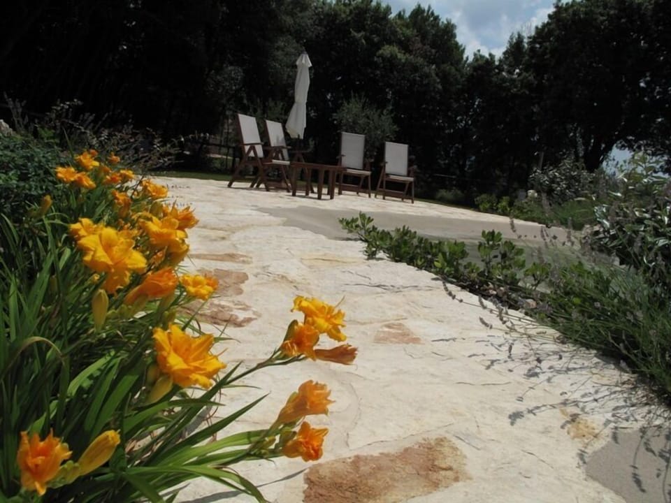 relax area near the pool