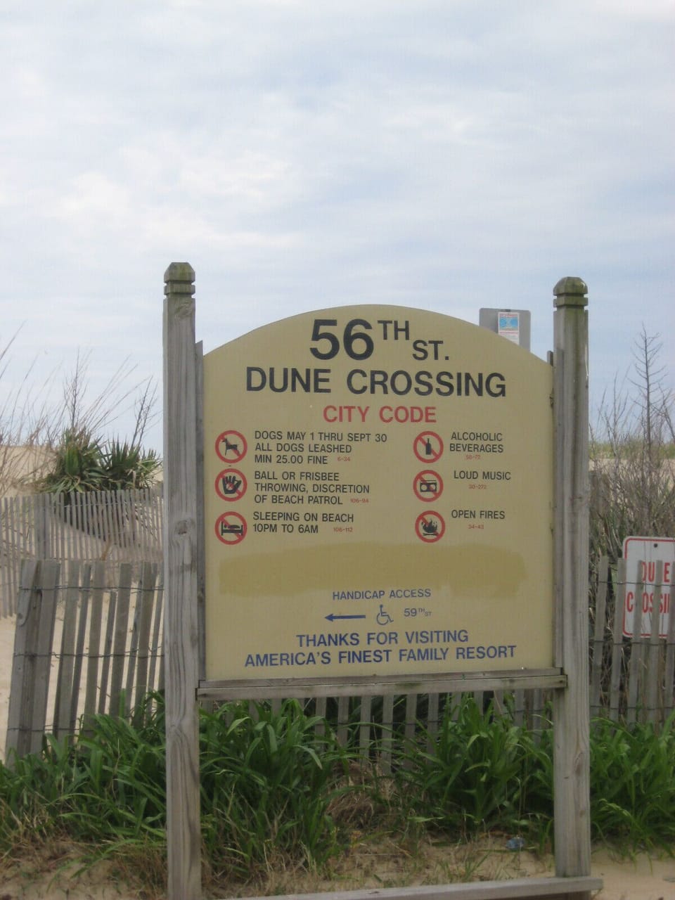 Welcome to the Beach! 