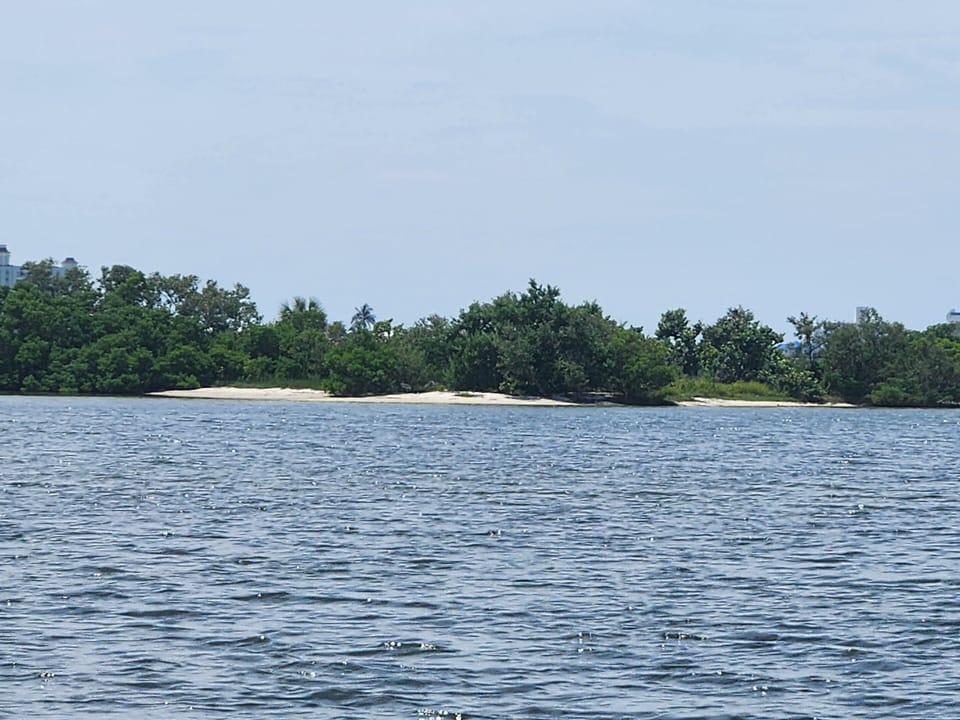 Only 250 yards from Casa Dolphina, Jack’s Island is just a peaceful paddle away.