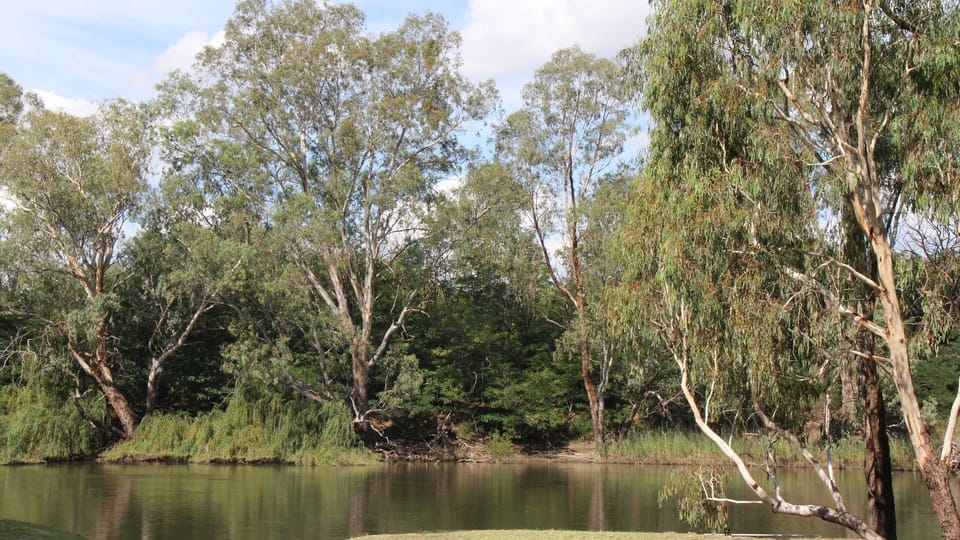 Murray River