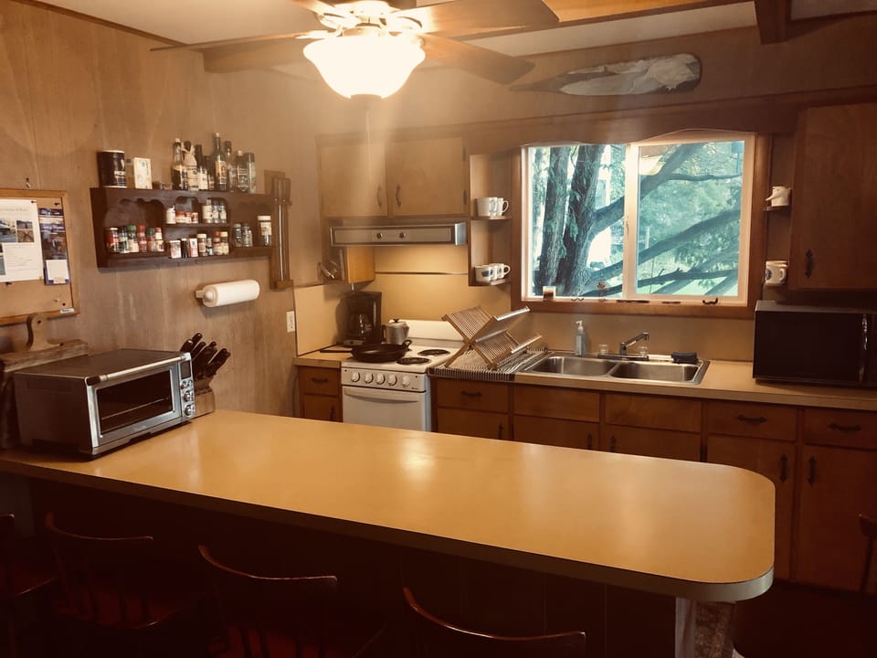 Fully outfitted kitchen; electric stove, convection oven/toaster, coffee maker.